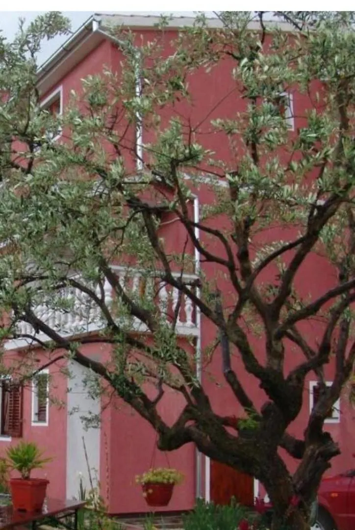 Apartments Sanja-Marino Rovinj Croatia